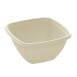 Bagasse Food Containers